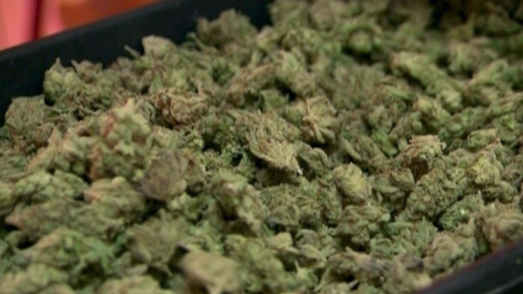CTV News Channel: Quebec tables cannabis bill