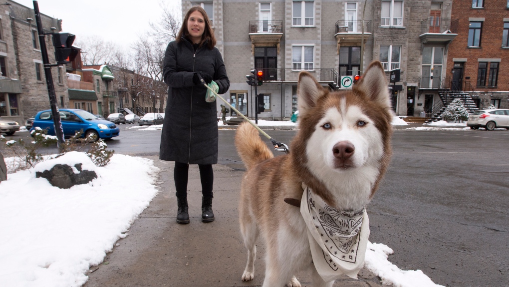 Ita Skoblinski walks her dog Waylon, Tuesday, January 12, 2021 in Montreal. Skoblinski adopted her dog during the pandemic and posted a joking offer online to let people walk her dog after curfew and got tons of answers.THE CANADIAN PRESS/Ryan Remiorz