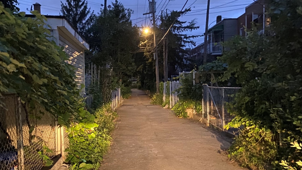 Montreal police are investigating after a 911 call was placed reporting a gunshot and an injured cat. Officers found the animal dead in a Park Extension alley. (Photo: Andrew Brennan/CTV Montreal)