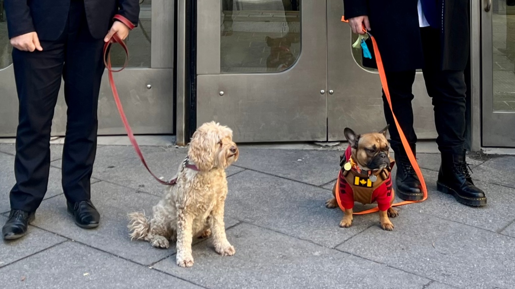Bella, Charlie, Perry and Theo accompany their Ensemble Montreal parents in asking the city to allow them onto the metro. SOURCE: Ensemble Montreal