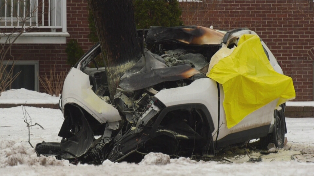 Car racer shot before crashing into tree