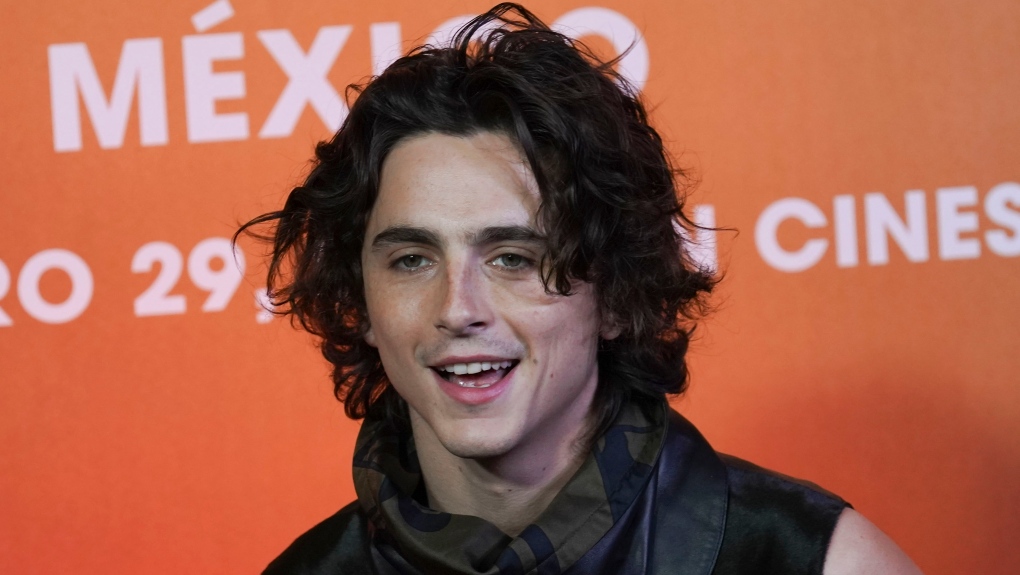 Timothee Chalamet poses for the photographers during the photo call promoting the film "Dune: Part Two" in Mexico City, Monday, Feb. 5, 2024. (AP Photo/Marco Ugarte)