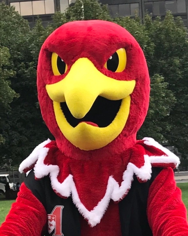 Marty the Martlet