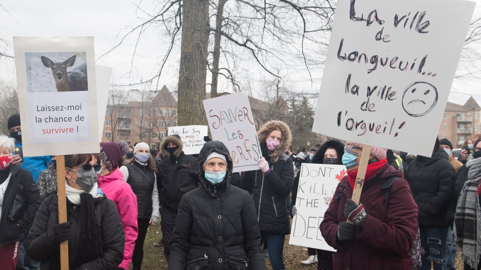 Protest against deer cull in Longueuil