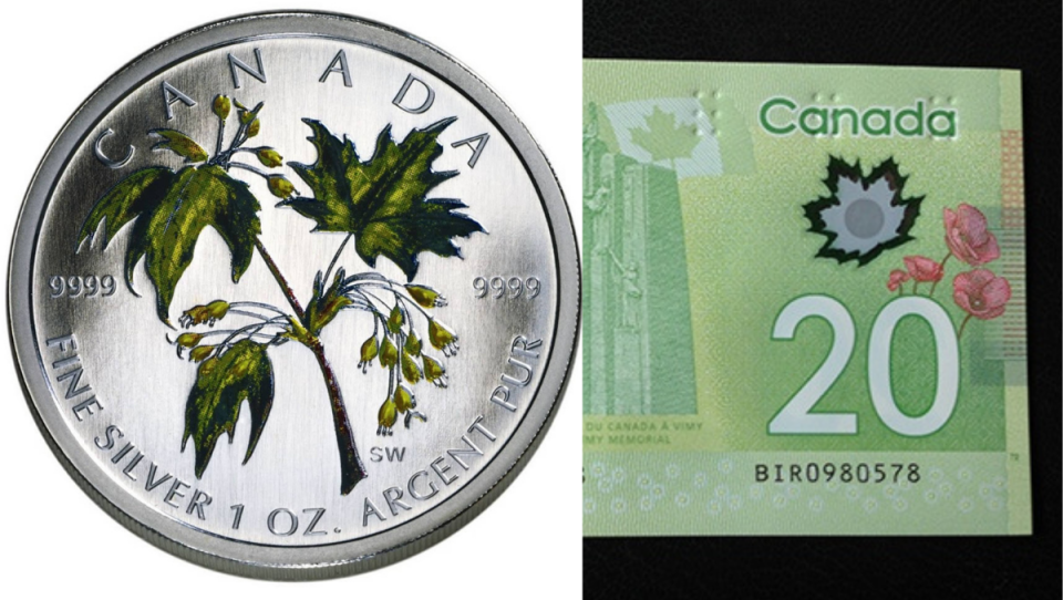 Norway Maple used by the Canadian Mint