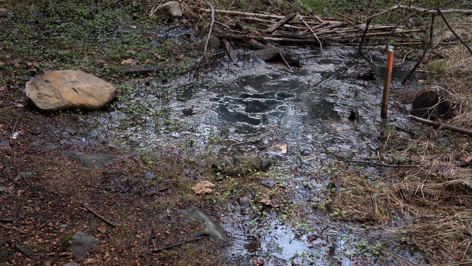 An abandoned oil well bubbles near Gaspé